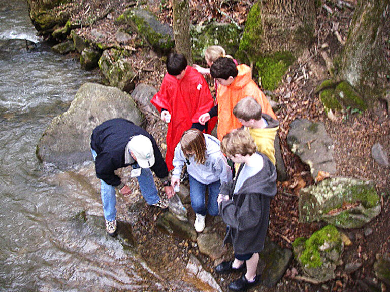 Schools Release Trout to Area Waters