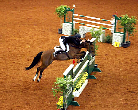 Horse Show Attracts Variety of Fans