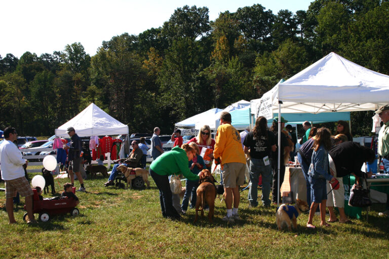 DogtoberFest Popular Destination for Dogs and Owners Alike