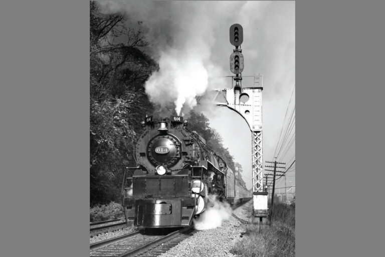 Thoroughbreds of Steam to Stand Side by Side