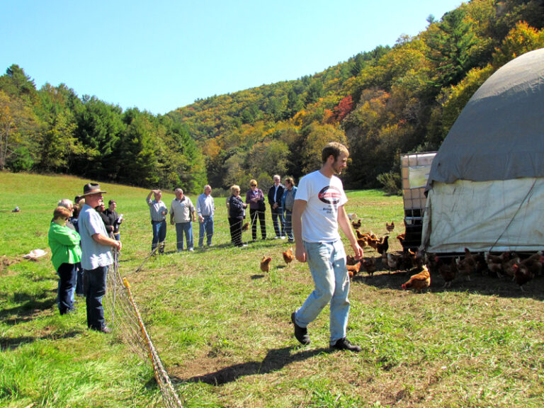 Roanoke Officials and Citizens Get a Whiff of Urban Chicken Farming