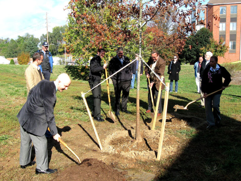 “Joe Green” Tree Honors Opera