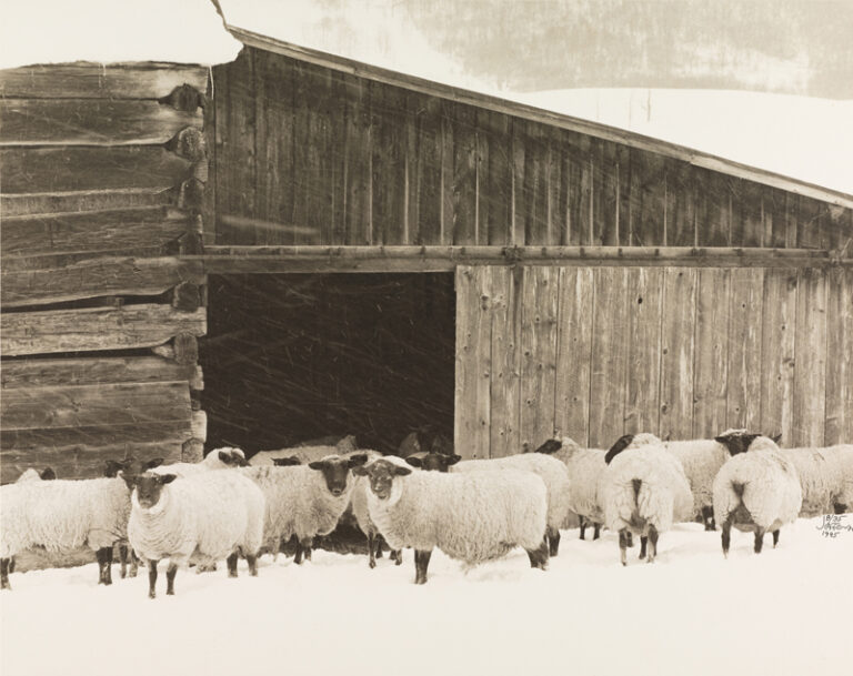 Photographs are “Windows to the Blue Ridge and Beyond”