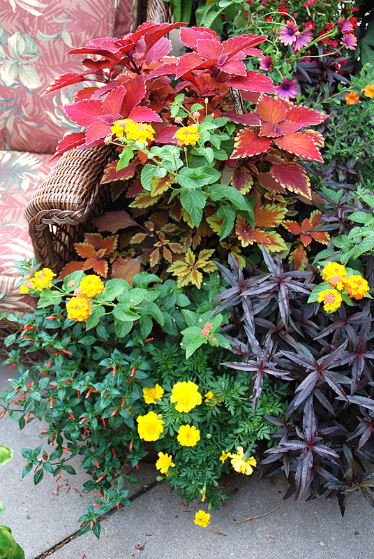 Memorial Day Means Gardening for Many