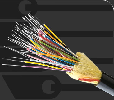 Fiber Provided Broadband  Plan for Economic Growth