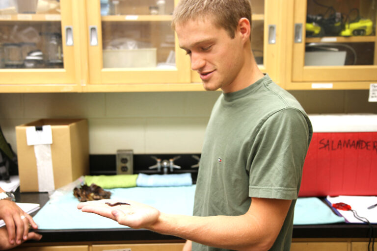 Student Researchers Take  A Walk On The ‘Wild’ Side
