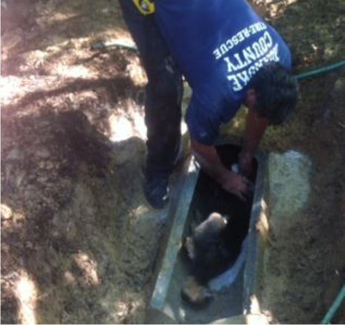 Roanoke County Firefighters Rescue Dog from Drain Pipe