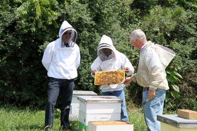 Tech Researchers Assist State By Studying Effects of Pesticides on Honeybees