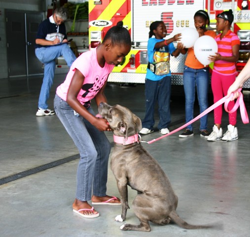 Angels of Assisi Taking Vet Services to Neighborhoods