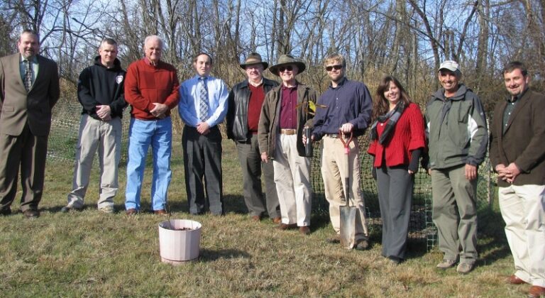 Restoration Chestnut Saplings Planted in Southwest VA
