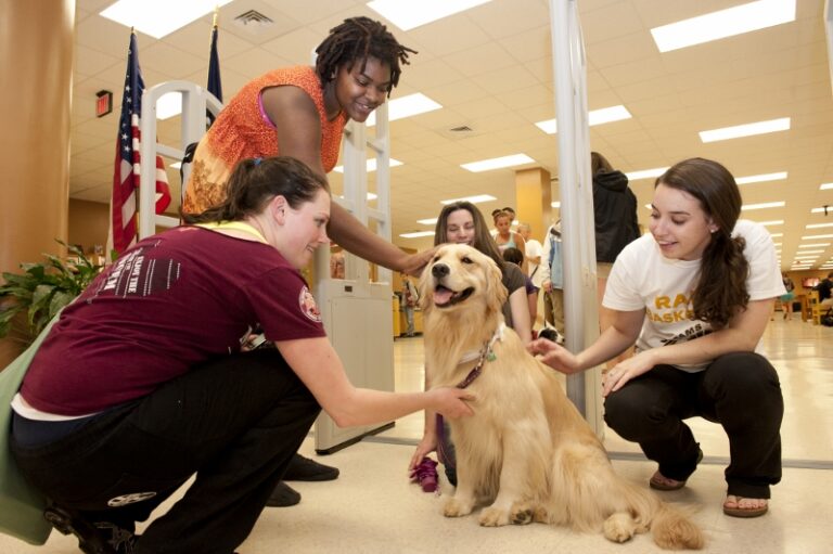 Popular Therapy Dog Program Inspires Others to Start Their Own