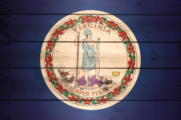 Virginians Support Ethics And Mental Health Reforms; Split On Medicaid Expansion