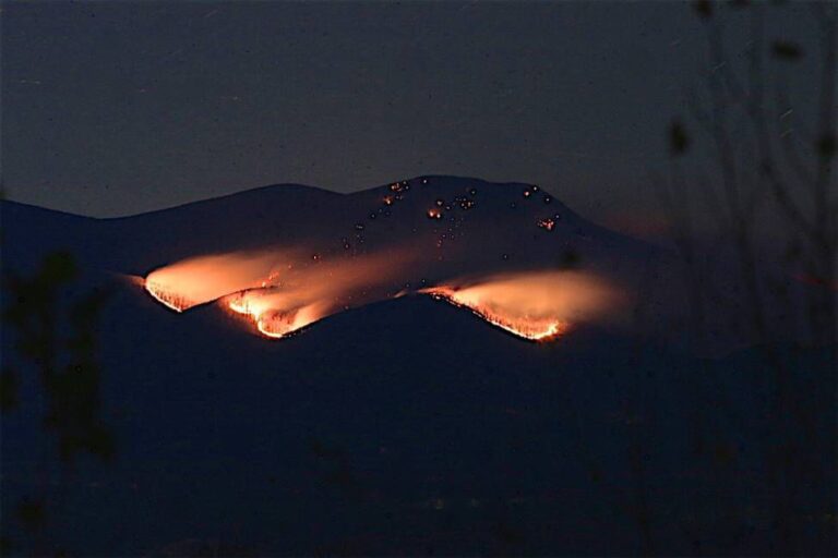 Virginia’s Spring Wildfire Season and 4 PM Law Begins