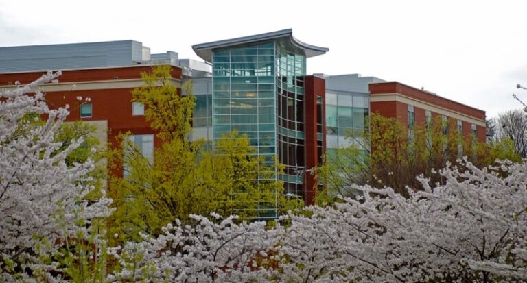 Virginia Western presents 2019 Community College Impact Award to Maury L. Strauss