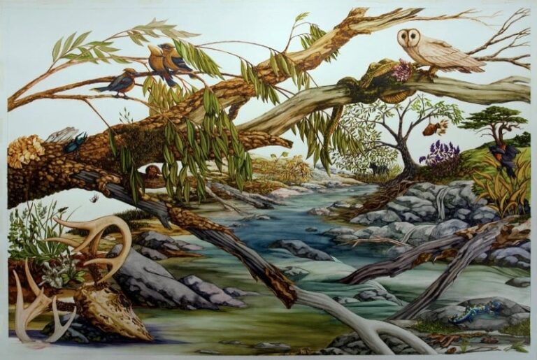 Roanoke Artist Gerry Bannan’s Latest Works of Vivid Forest and River Bank Scenes Invite Curiosity and Wonder 