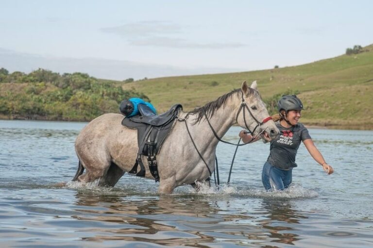 VA Tech Senior Races Horses Across Three Continents