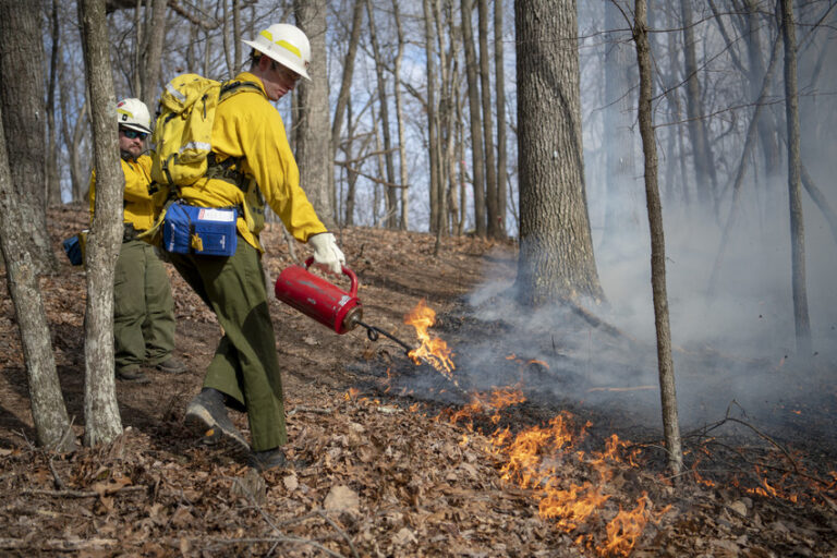Forestry Majors Face Burning Issues