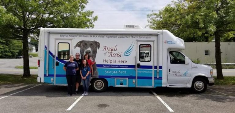 Low-Cost Pet Health Clinic To Visit Fallon Park