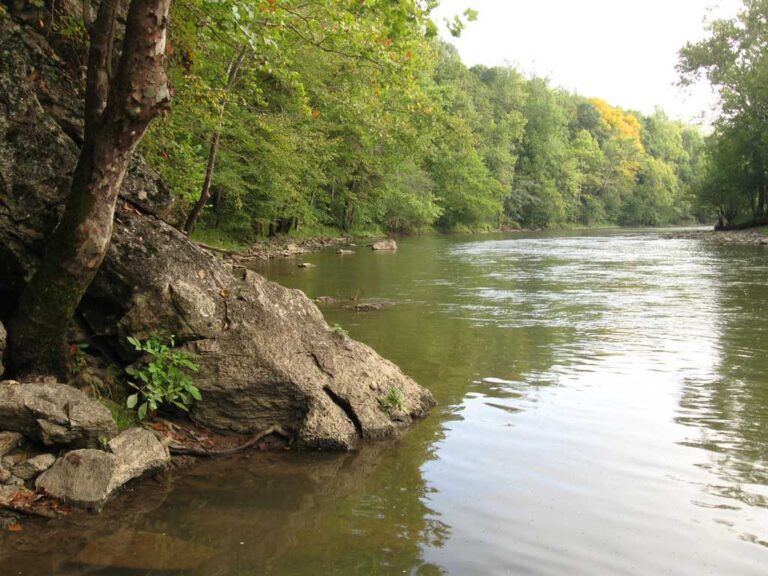 Nature Conservancy Partners With State of VA to Permanently Protect 22,856 Acres in Southwest Virginia