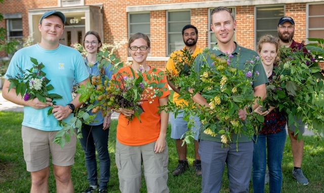 When Invasive Plants Take Root, Native Animals Pay The Price