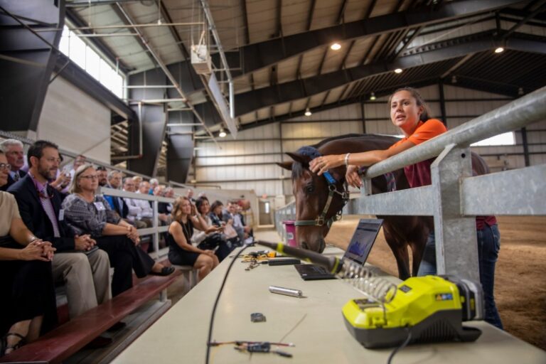 Workforce Development Key for Rural Communities Governor Says During VA Tech Visit