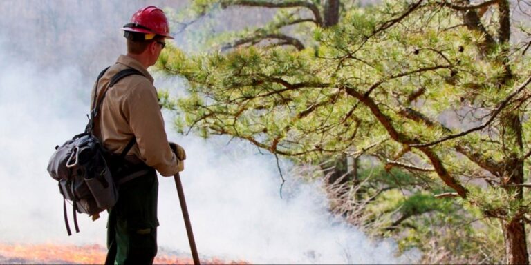 Virginia Department of Forestry Prepares for Fall Wildfire Season