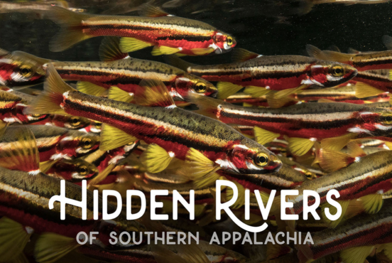 The Global Change Center Sponsors ‘Hidden Rivers’ Film at Lyric Theatre