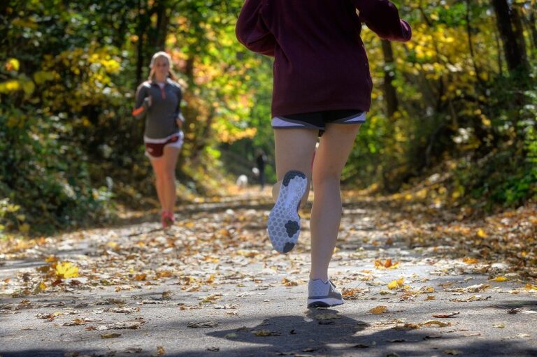 The Huckleberry: More Than Just A Trail