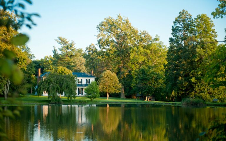 Stories Project Illuminates University’s Past