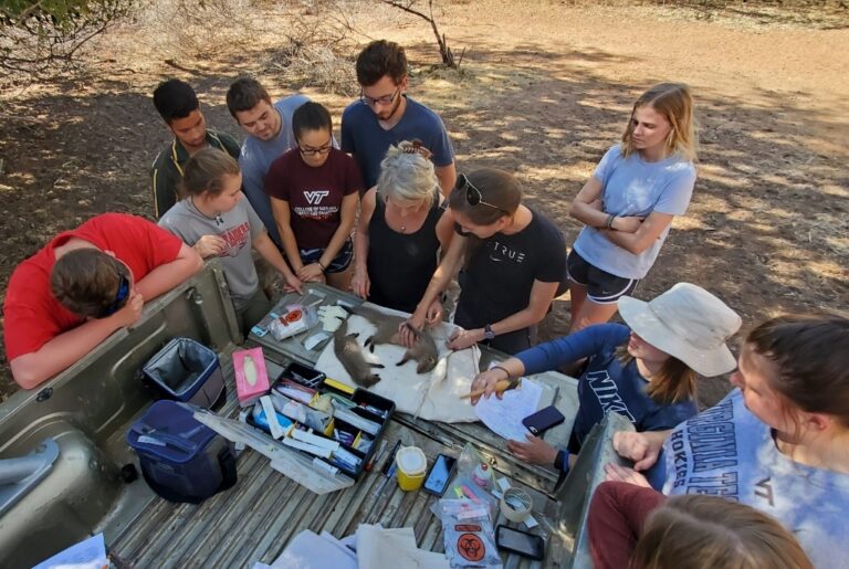 Students Tackles Challenges of Wildlife Field Work While Breaking New Trails in Africa