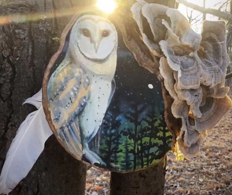 Local Artist To Leave Natural Art Works At Regional Trailheads