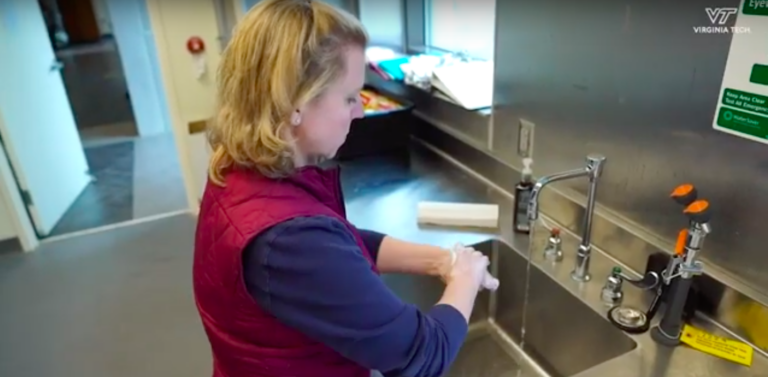 Virginia Cooperative Extension and 4-H Provide Resources to Local Communities During Pandemic