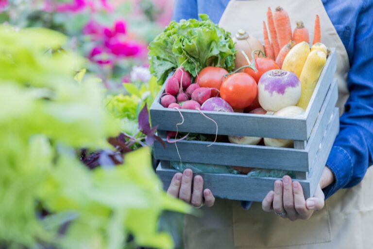 Increased SNAP Match Days Return at the Historic Roanoke City Market