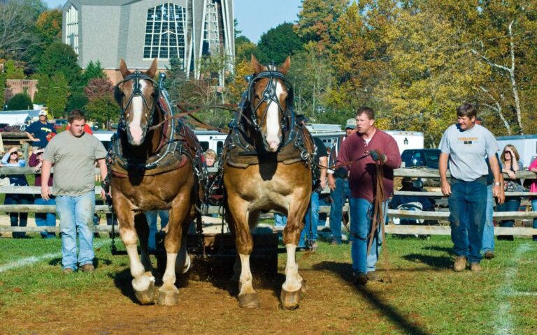 October’s Blue Ridge Folklife Festival Canceled