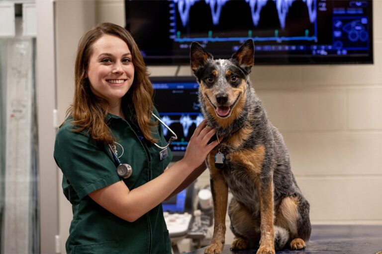 VA Tech Class of 2020: Veterinary Student Named Class Valedictorian