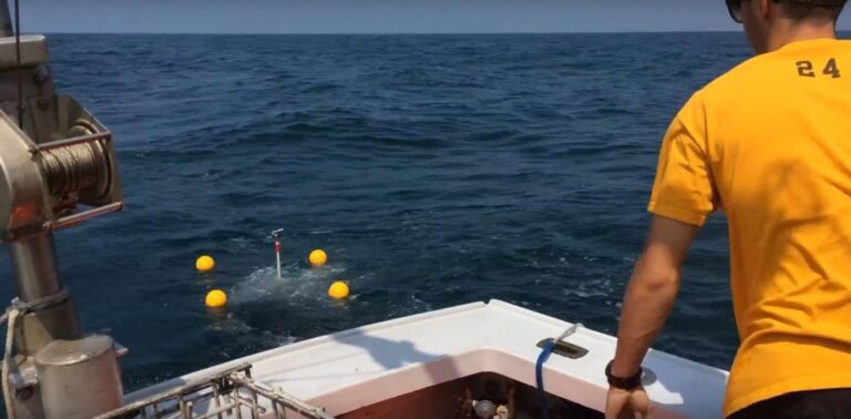 Tech Team Uncovers Hidden Coastal Water Patterns Increasing Chance of Quick Rescues