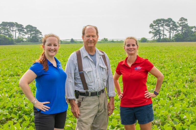 Eastern Shore Farmers, VA Tech Researchers, and VCE Agents Partner to Protect Chesapeake Bay