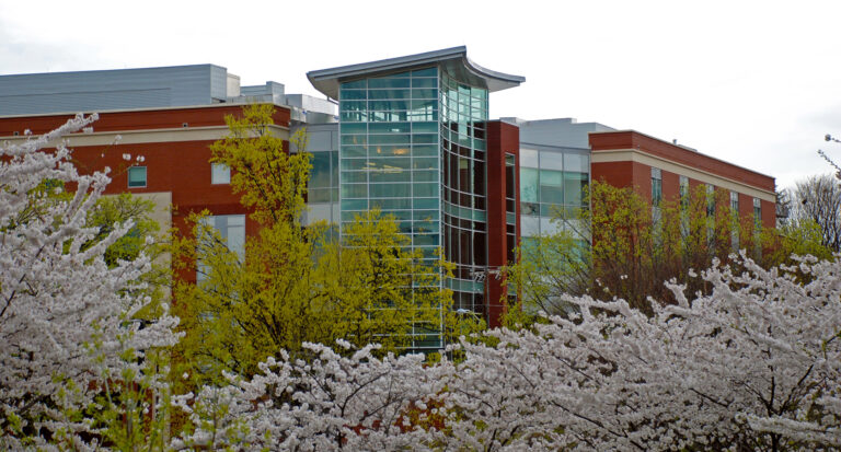 Virginia Western To Provide Mixture of Online and In-person Fall Classes