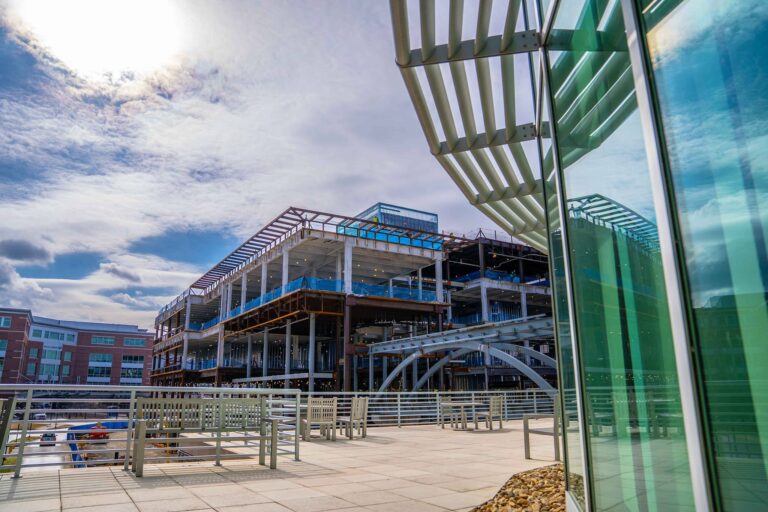 VTC Scientists Advance Critical Understanding of Blood-brain Barrier Health