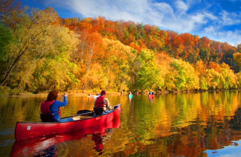 Tree Expert: Fall Color Looks Promising for Leaf Watchers in Virginia