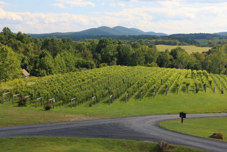 Virginia Raises Glass To 32nd Annual Wine Month