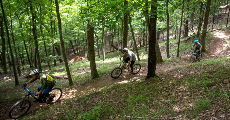 Roanoke Parks and Rec Asks For Feedback On 2021 Mill Mountain Trails Plan