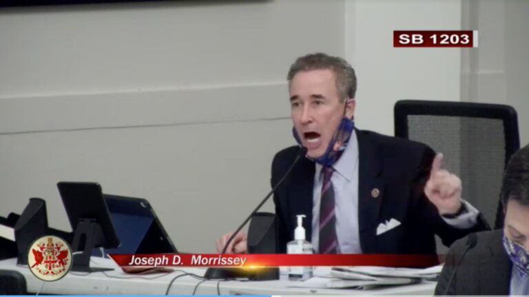 Virginia Senate Committee Rejects Hate Crime Expansion Bill