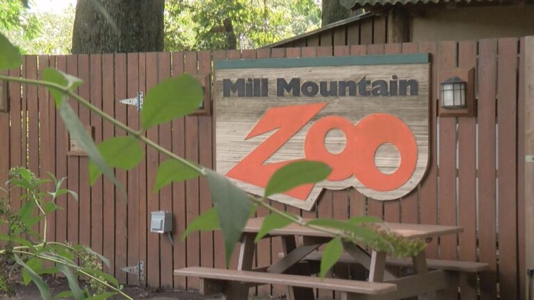 Mill Mountain Zoo Announces New Operations / Development Directors