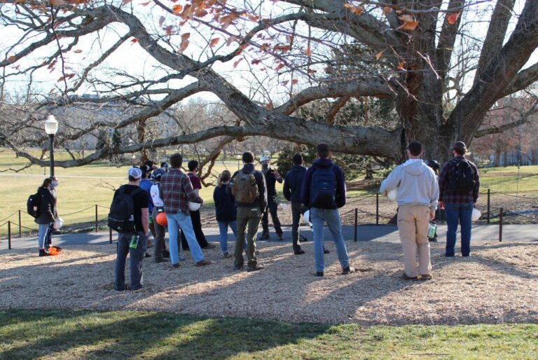 Campus Trees at VA Tech Help Train Next Generation of Arboriculturists