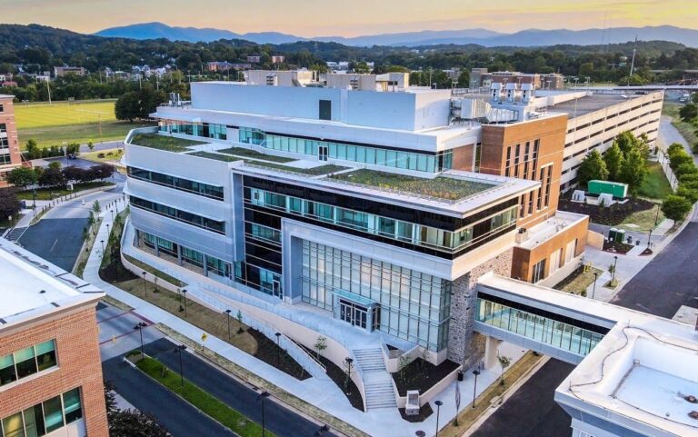 Fralin Biomedical Research Institute Welcomes Four New Advisory Board Members