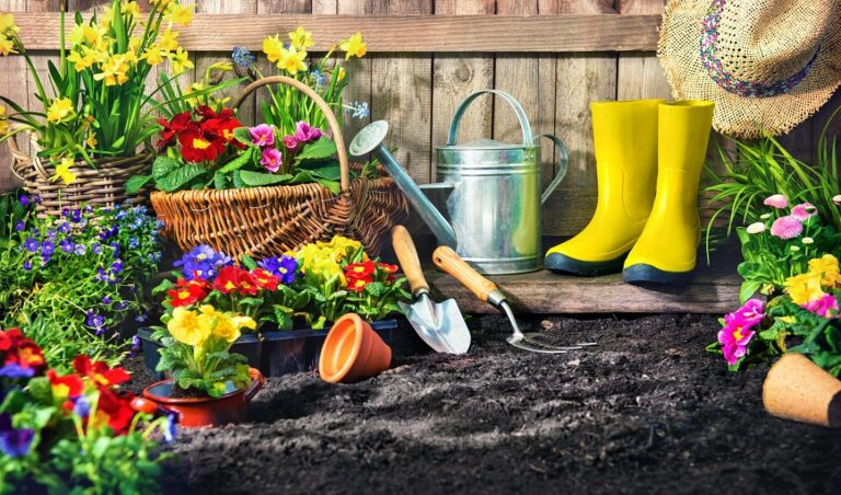 Carilion Clinic Details The Many Benefits of Gardening