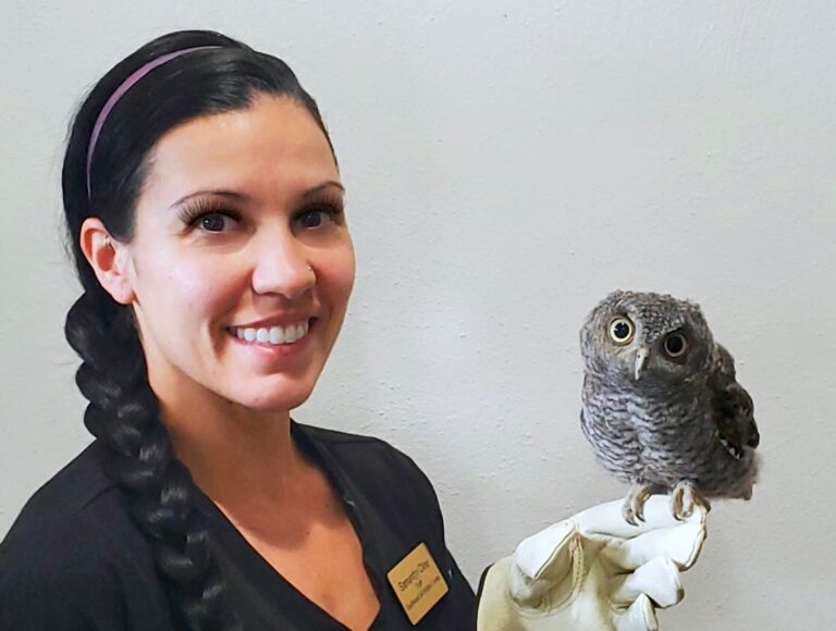 Southwest Virginia Wildlife Center Has New Education Ambassador