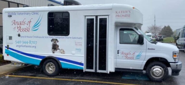 Angels of Assisi to Provide Vaccines, Microchips and Pet Food