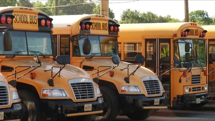 School buses